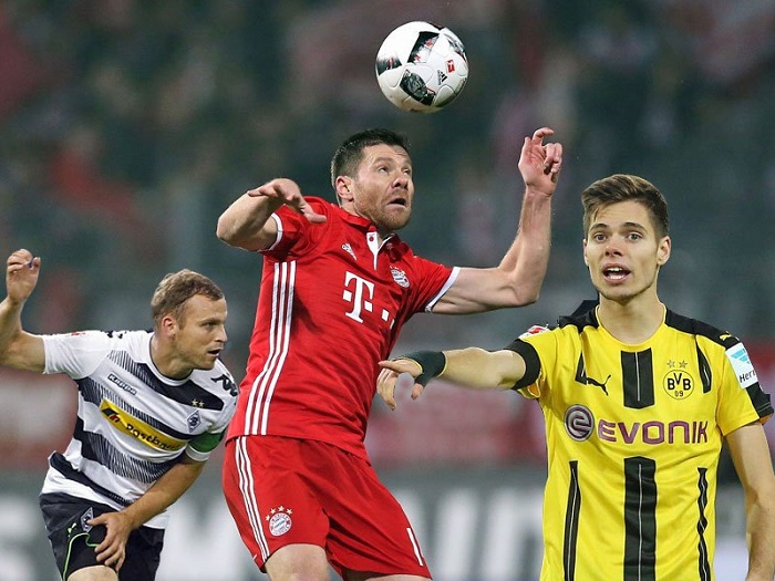 提供了强有 提供了强有