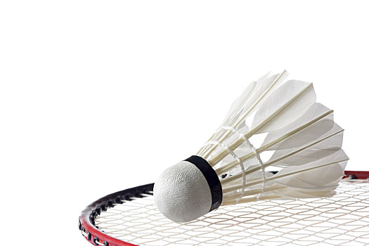 团体的铜牌 团体的铜牌