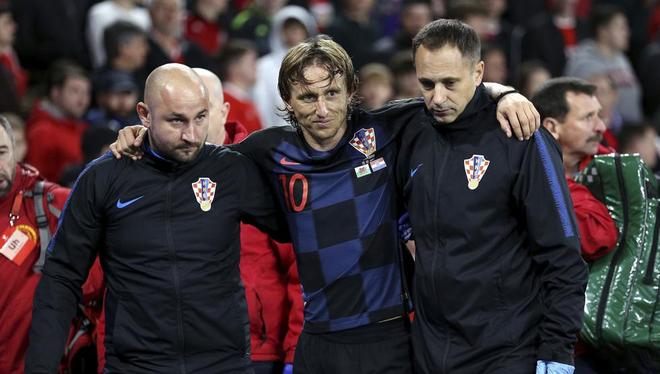 教练组的数 教练组的数