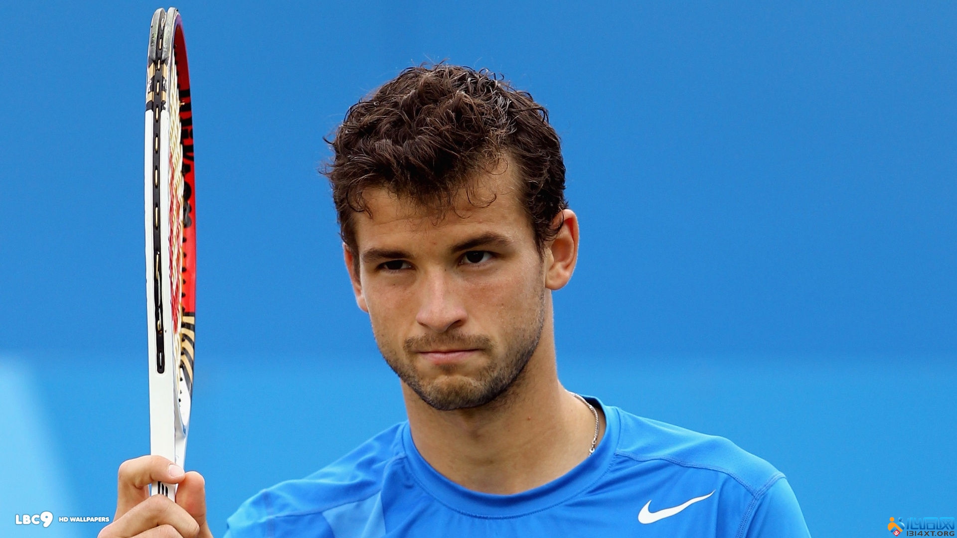 的标签活成 的标签活成